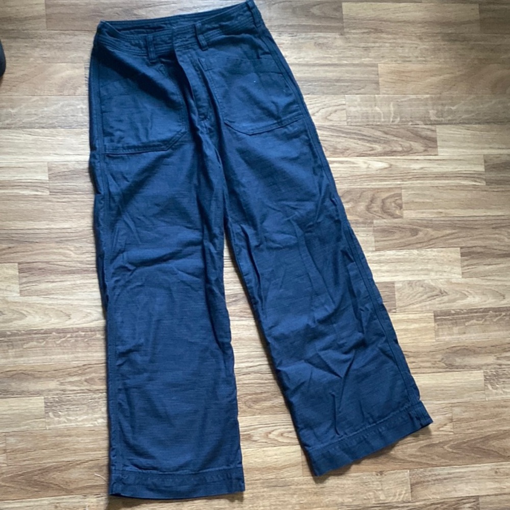 Patagonia Blue Cargo Pants